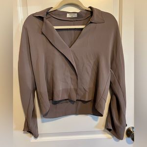 Aritzia Babaton Dress Shirt